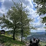 Happy Place Mit Moselpanoramablick, Dachterrasse Und Sauna Appartement