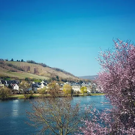 Happy Place Mit Moselpanoramablick, Dachterrasse Und Sauna * 摩泽尔河畔的泽尔