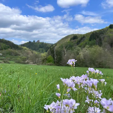 公寓 Happy Place Mit Moselpanoramablick, Dachterrasse Und Sauna