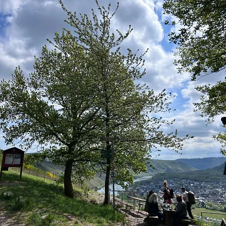 Happy Place Mit Moselpanoramablick, Dachterrasse Und Sauna Apartment