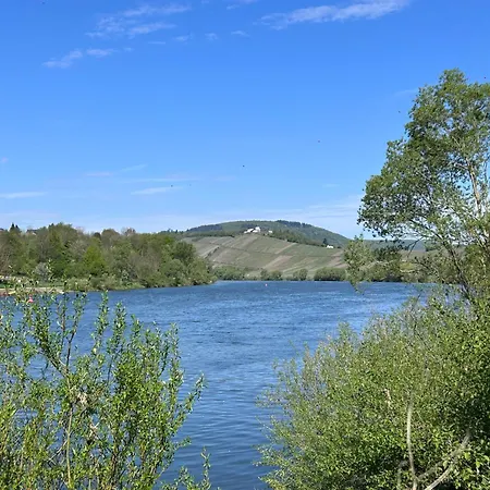 Happy Place Mit Moselpanoramablick, Dachterrasse Und Sauna 公寓