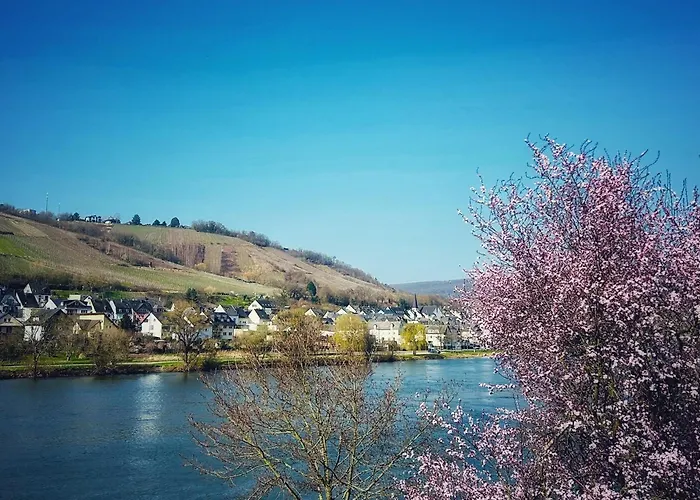 Happy Place Mit Moselpanoramablick, Dachterrasse Und Sauna * Zell