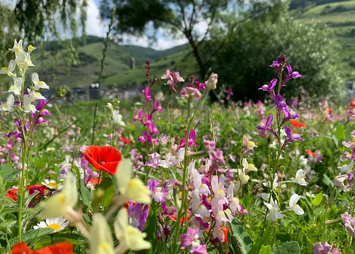 Happy Place Mit Moselpanoramablick, Dachterrasse Und Sauna *