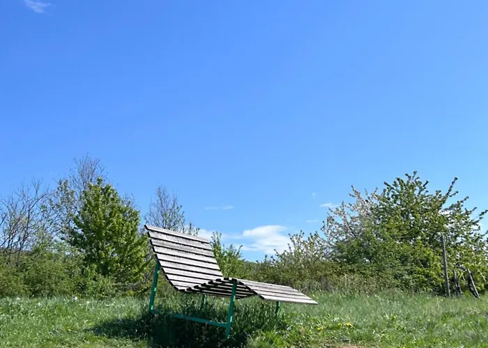 Appartement Happy Place Mit Moselpanoramablick, Dachterrasse Und Sauna *
