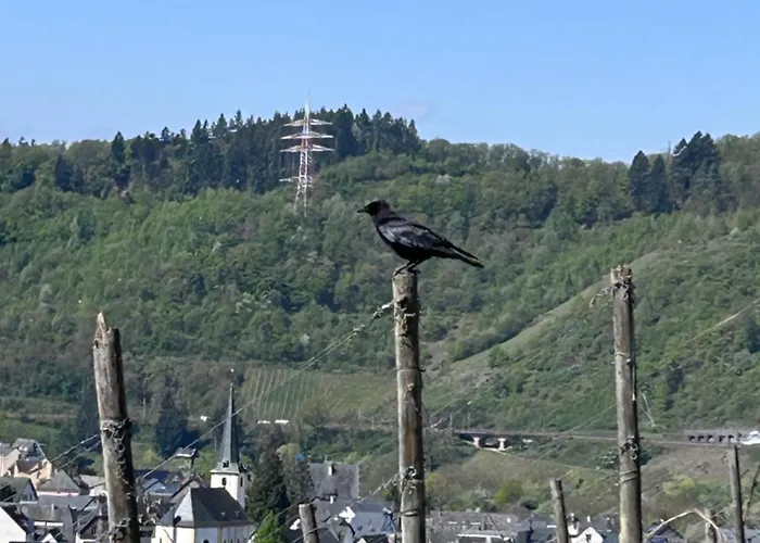 Happy Place Mit Moselpanoramablick, Dachterrasse Und Sauna *