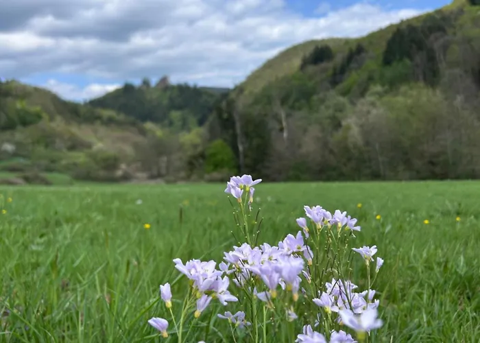 Happy Place Mit Moselpanoramablick, Dachterrasse Und Sauna Zell