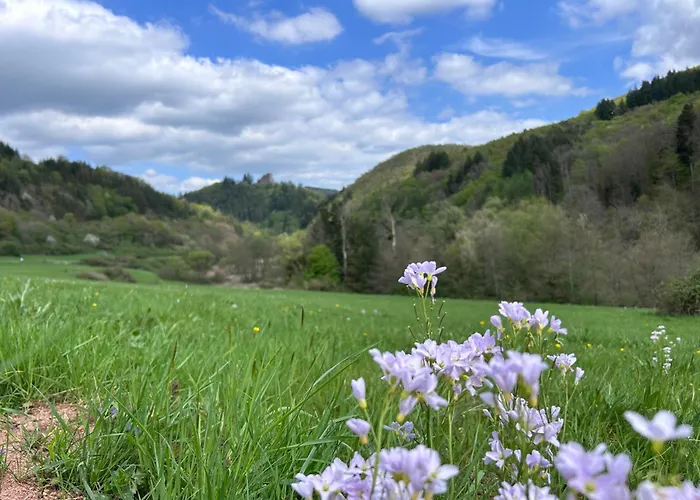 公寓 Happy Place Mit Moselpanoramablick, Dachterrasse Und Sauna