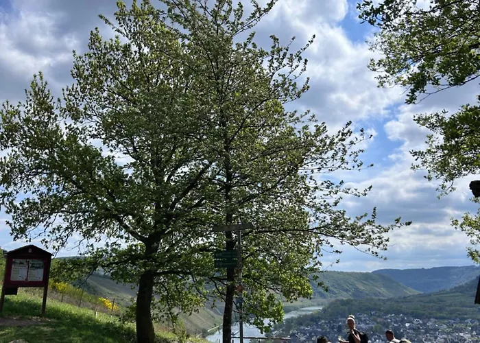 Happy Place Mit Moselpanoramablick, Dachterrasse Und Sauna Appartement