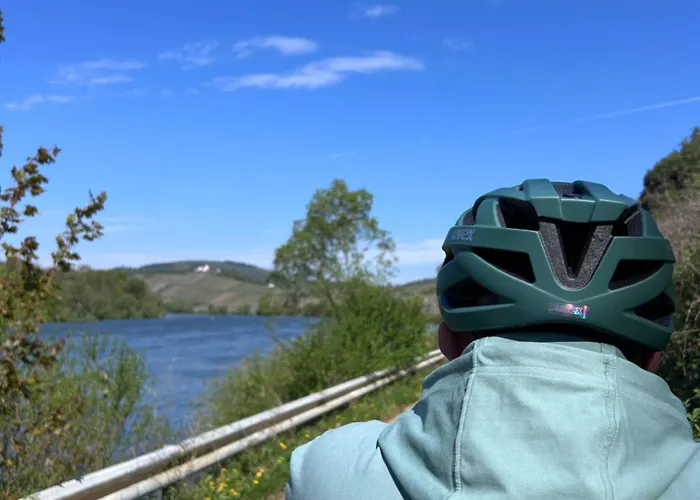 Appartement Happy Place Mit Moselpanoramablick, Dachterrasse Und Sauna *